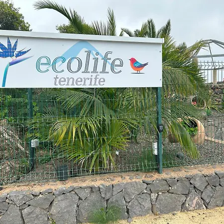 Tenerife Ecolife By Estrella Del Norte * غاراتْشيكو