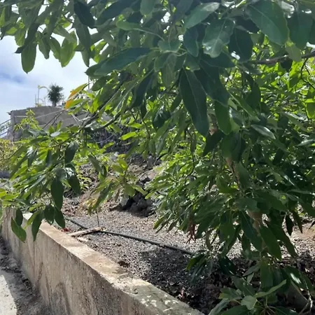 شقة Tenerife Ecolife By Estrella Del Norte غاراتْشيكو